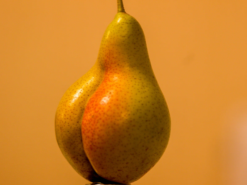 What is anal training?